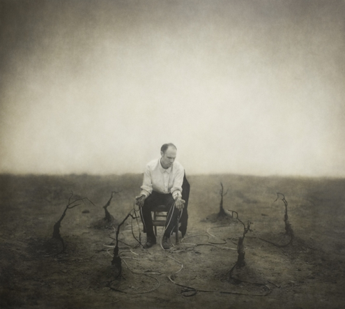 Earth Elegies by Robert and Shana ParkeHarrison (from the artists’ website) 