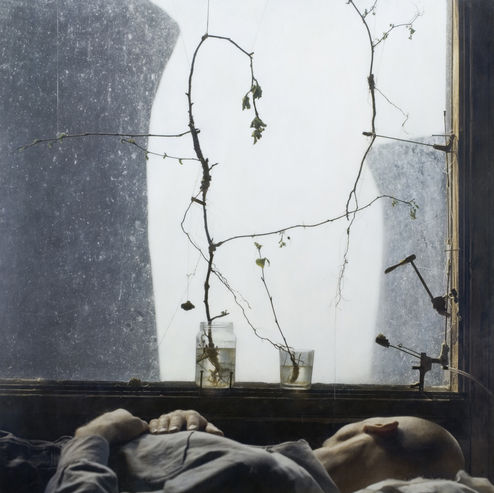  Gray Dawn by Robert and Shana ParkeHarrison (from the Catherine Edeleman Gallery website)